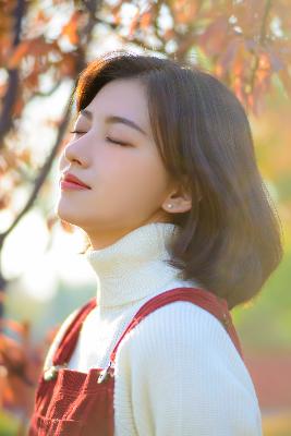 陈情令电视剧免费观看完整版高清